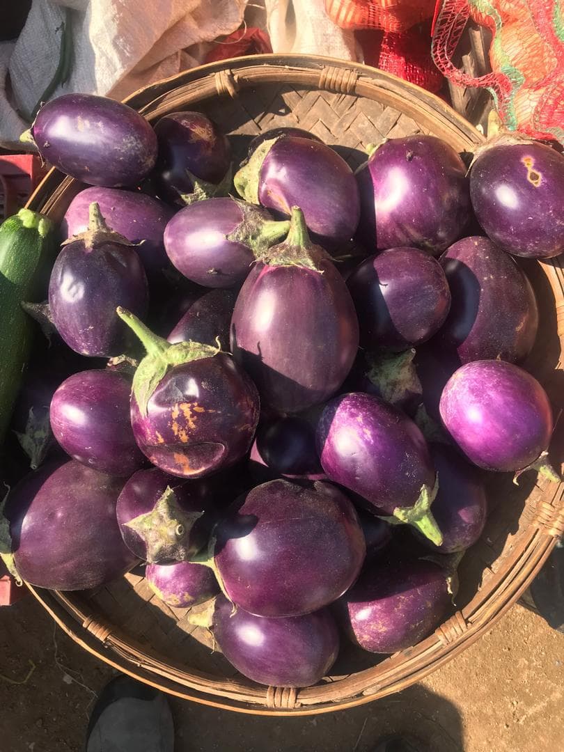 Eggplant