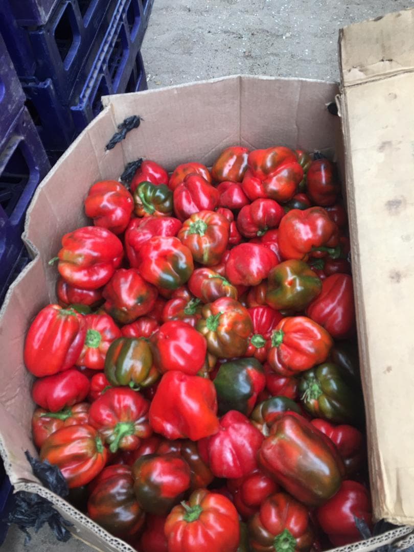 Red Bell Peppers