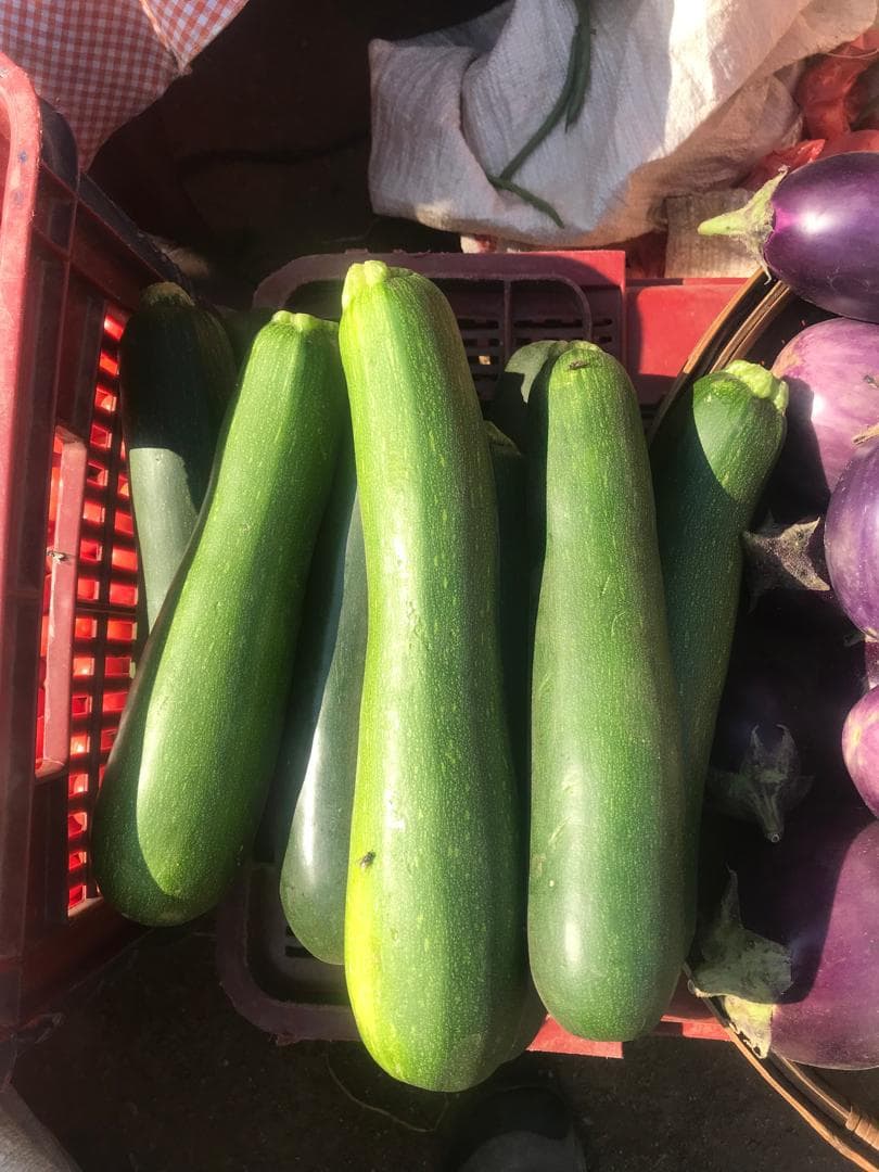 Zucchini